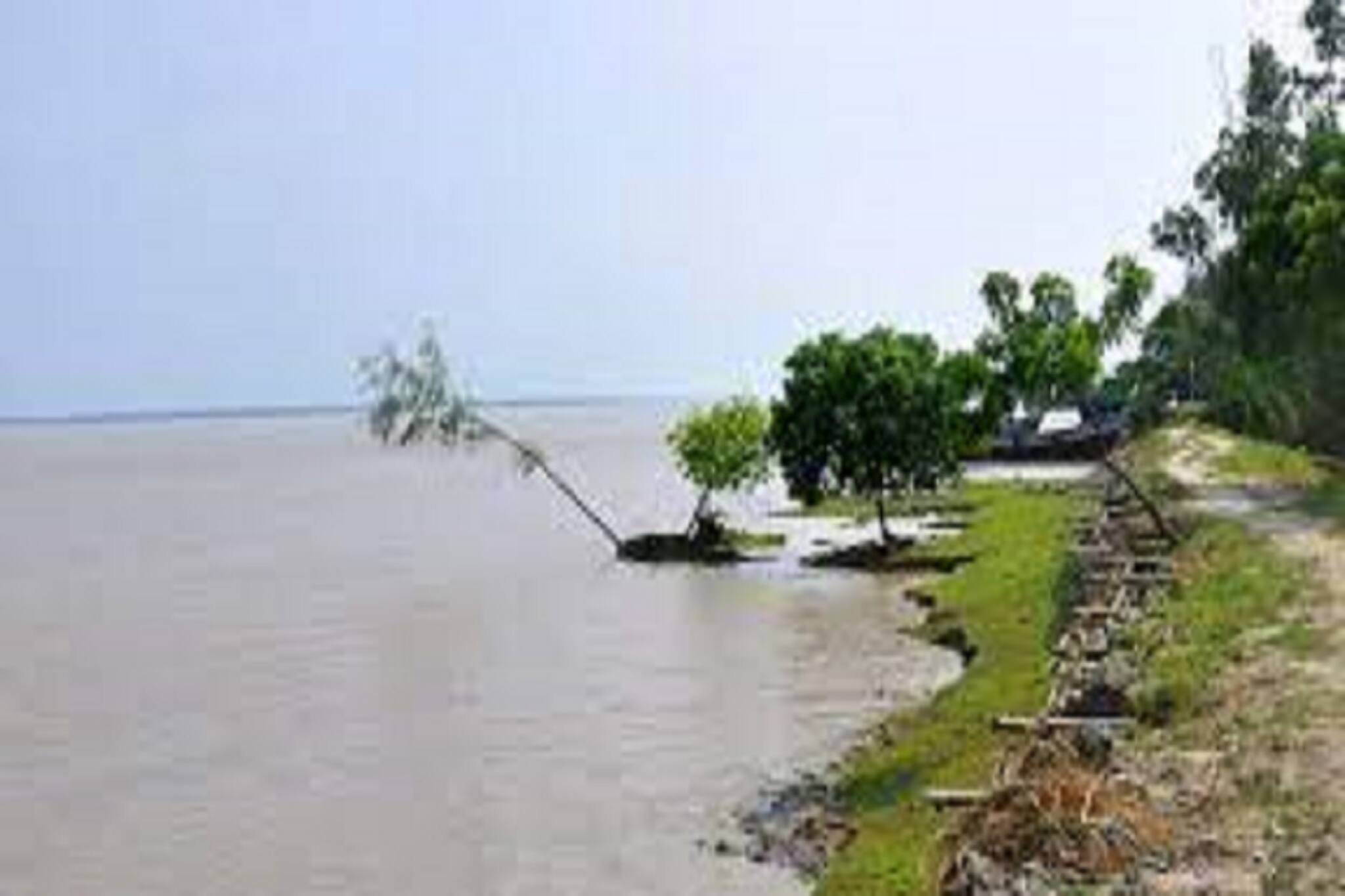 সুন্দরবনের জনবিরল দ্বীপে গাছ থেকে ঝুলছে দেহ! হাড়হিম হয়ে যাবে দেখলে