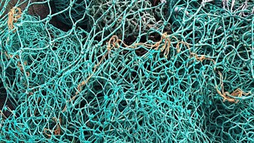 সাধারণত