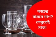 কাচের বাসনে দাগ নিয়ে নাজেহাল? এক লেবুতেই হবে কামাল