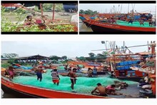 ইলিশকে জালবন্দি করতে শর্ত প্রচুর! মৎস্যজীবীরা কী করবেন, আর কী করবেন না