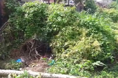 এ কী মিলল!