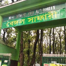 তিন মাসের জন্য সব জঙ্গলের দরজা বন্ধ! সাফারি করতে পারবেন না পর্যটকরা