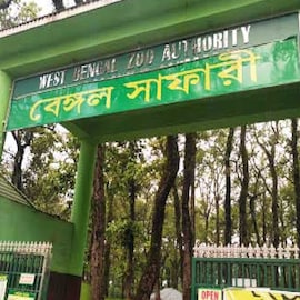 তিন মাসের জন্য সব জঙ্গলের দরজা বন্ধ! সাফারি করতে পারবেন না পর্যটকরা তিন মাসের জন্য সব জঙ্গলের দরজা বন্ধ! সাফারি করতে পারবেন না পর্যটকরা