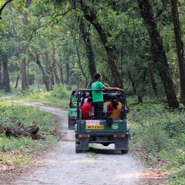 বর্ষার এই সময় জঙ্গলের রূপ হয় অন্যরকম। জঙ্গলের ঝোরাগুলি জলে ভরে ওঠে। গাছগাছালি বেড়ে ওঠে বৃষ্টির জল পেয়ে। এই সময় বন্য জন্তুরা আনন্দে মেতে ওঠে। আর তাই এই সময় তাদের কোনওরকম অসুবিধা হতে দিতে চায় না বনবিভাগ। 