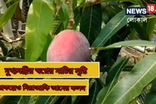 একটি আমের দাম ৩ লক্ষ টাকা! ১৫ গুণ বেশি মিষ্টি এই ফল এবার বাংলায়, চেখে দেখুন