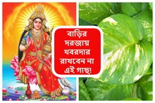 ঘরের দরজা থেকে এক্ষুনি সরিয়ে দিন গাছ! রাখবেন না এই ৫ জিনিস, রুষ্ট হন লক্ষ্মী