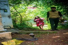 সাপের সঙ্গে প্রি-ওয়েডিং ফটোশ্যুট যুগলের! এ কী কাণ্ড? তুমুল ভাইরাল ছবি