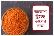 আকাশ ছুঁচ্ছে ডালের দাম! কোন ডালের কত দাম বাড়ল? দেখে নিন এক ঝলকে