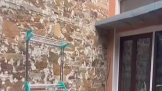 পরিবেশ-বান্ধব সামগ্রী দিয়েই শান্তির নীড় বাঁধলেন দম্পতি! প্রবল গরমেও প্রয়োজন হবে না ফ্যান কিংবা এসি-র!