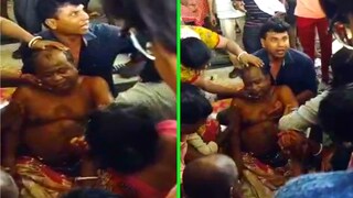 ভাইরাল ভিডিও 