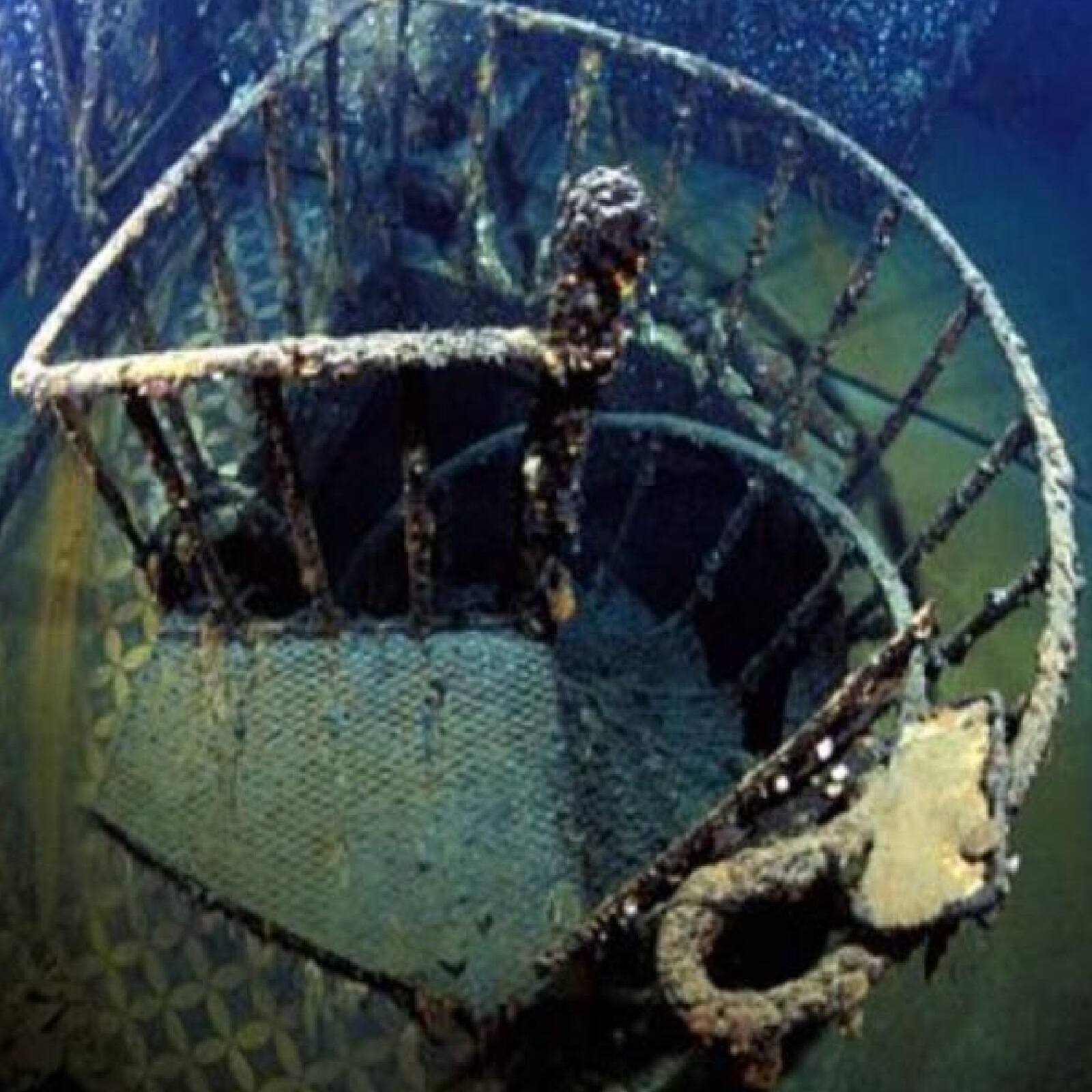 bacteria is eating titanic ship iron metal, টাইটানিকের লোহা খেয়ে বেঁচে