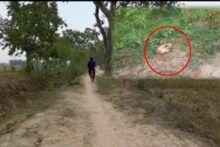 ক্যানেলের বাঁধ থেকে উধাও শতাধিক গাছ 