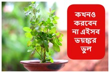 শুকনো তুলসী গাছ বাড়িতে রাখেন... এই সব ভুল করেন না তো! রুষ্ট হবেন মা লক্ষ্মী
