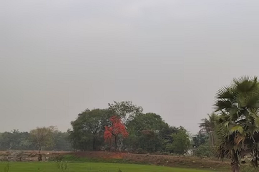 চলতি সপ্তাহ থেকেই উত্তর ও দক্ষিণবঙ্গে সমস্ত জায়গাতেই ঝড়-বৃষ্টি হতে দেখা যাবে বলে জানিয়েছে আবহাওয়া দফতর। ২৩ তারিখ নাগাদ বর্ষা প্রবেশ করবে রাজ্যের সমস্ত জায়গাতেই। স্বস্তি পাবে গোটা রাজ্যবাসী বলেই মনে করা হচ্ছে। (প্রতিবেদক: শমিষ্ঠা ব্যানার্জি)