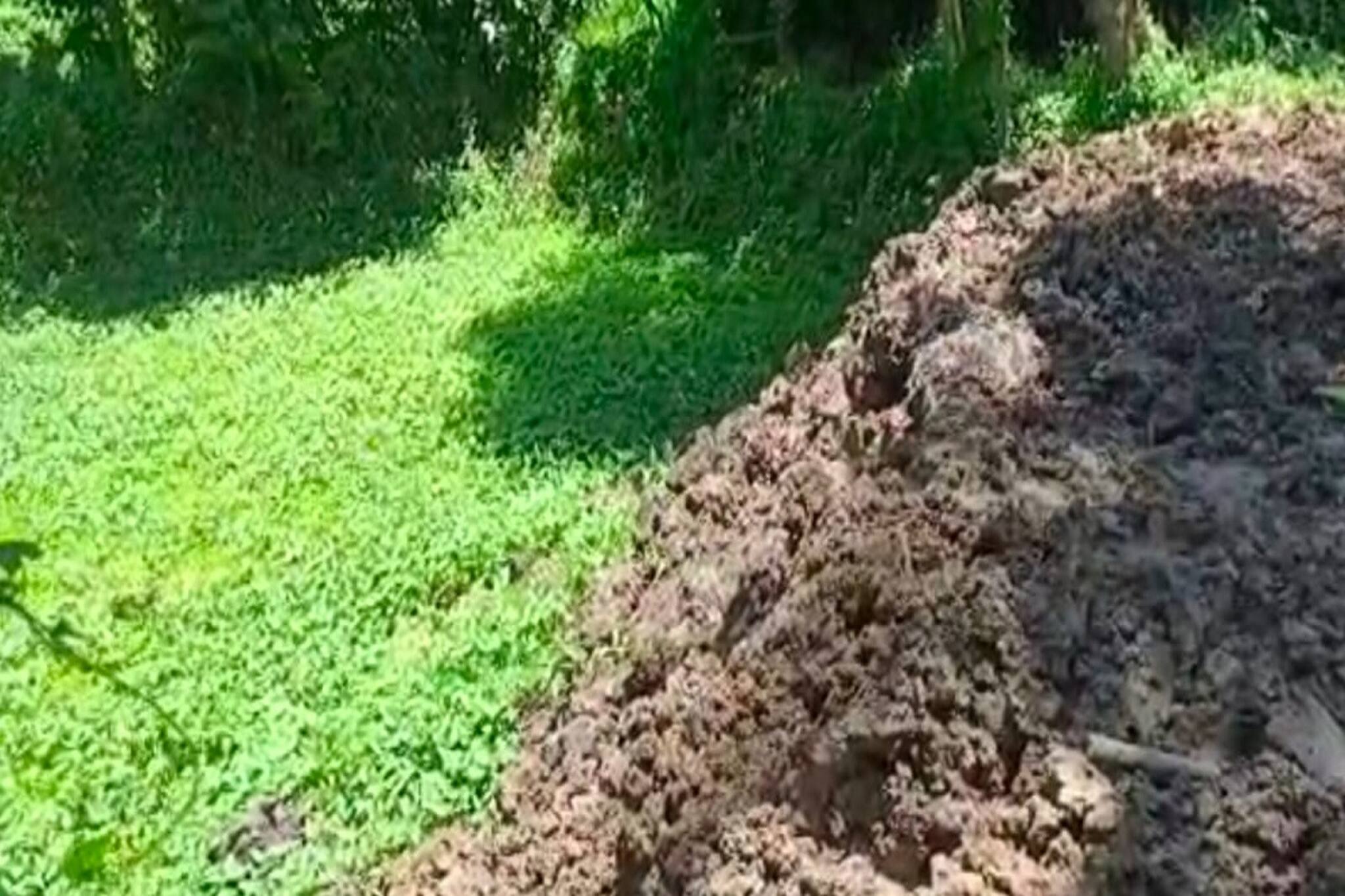 পুকুর ভরাট করে নার্সিংহোম তৈরি করবেন চিকিৎসক! জানতে পেরে এলাকাবাসী কী করল