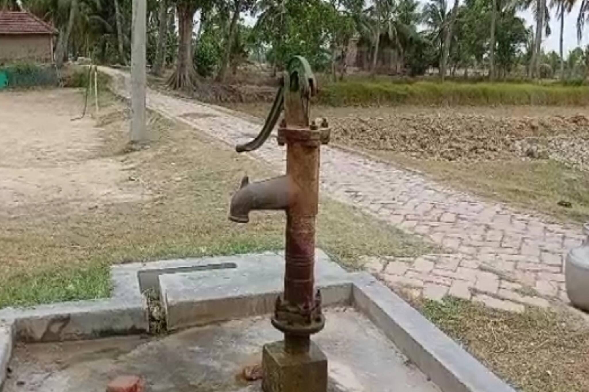 পর্যটন ক্ষেত্র মৌসুনি'তে হাহাকার! কারণ জানলে ঢোক গিলতে বাধ্য হবেন