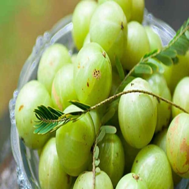 প্রচুর পরিমাণে ভিটামিন সি থাকায়, এটি শরীরের রোগ প্রতিরোধ শক্তি বাড়াতে সাহায্য করে। 