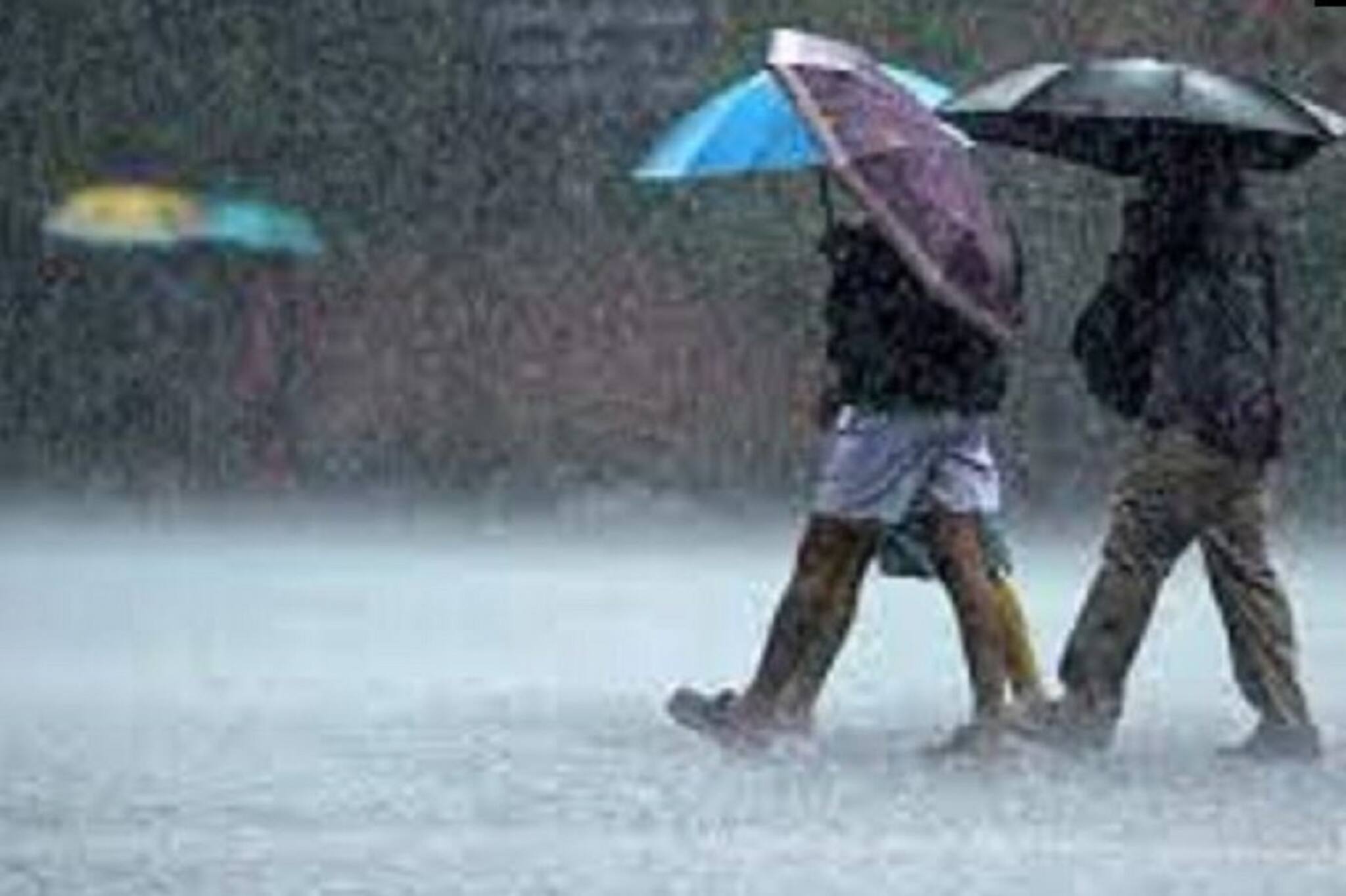 আবহাওয়ার বিরাট পরিবর্তন! লাল, কমলা সর্তকতা জারি! কলকাতা-সহ এই জেলাগুলিতে যা হবে!