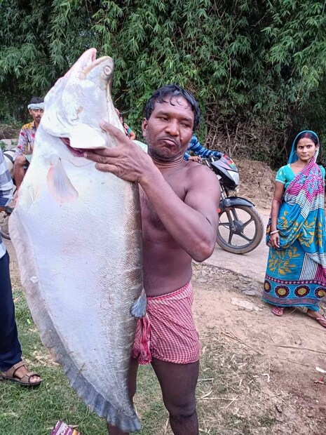 অন্যান্য দিনের মতো দাঁতনের সুবর্ণরেখা নদীতে মাছ ধরতে গিয়েছিলেন বেশ কয়েকজন। সাথে ছিলেন দাঁতন এর ঝিনুক পলাশিয়া এলাকার দুই জেলে উত্তম রায় ও বাচ্চু রায়।
