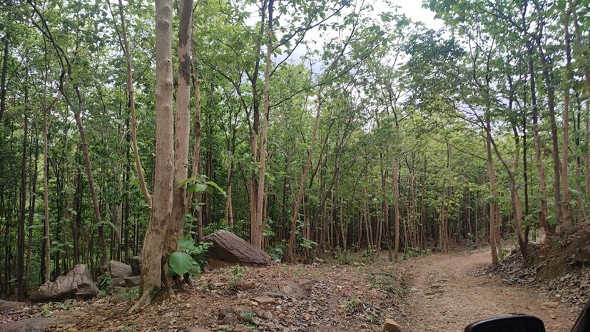 কলকাতায় বজ্রবিদ্যুৎ-সহ বৃষ্টির সম্ভাবনা কম রয়েছে। ঝড় বৃষ্টি হলেও আর্দ্রতাজনিত অস্বস্তিও বজায় থাকবে। তবে দু'দিনের পর থেকে তাপমাত্রার একটু পতন হবে।    (ছবি ও লেখা: শমিষ্ঠা ব্যানার্জি)