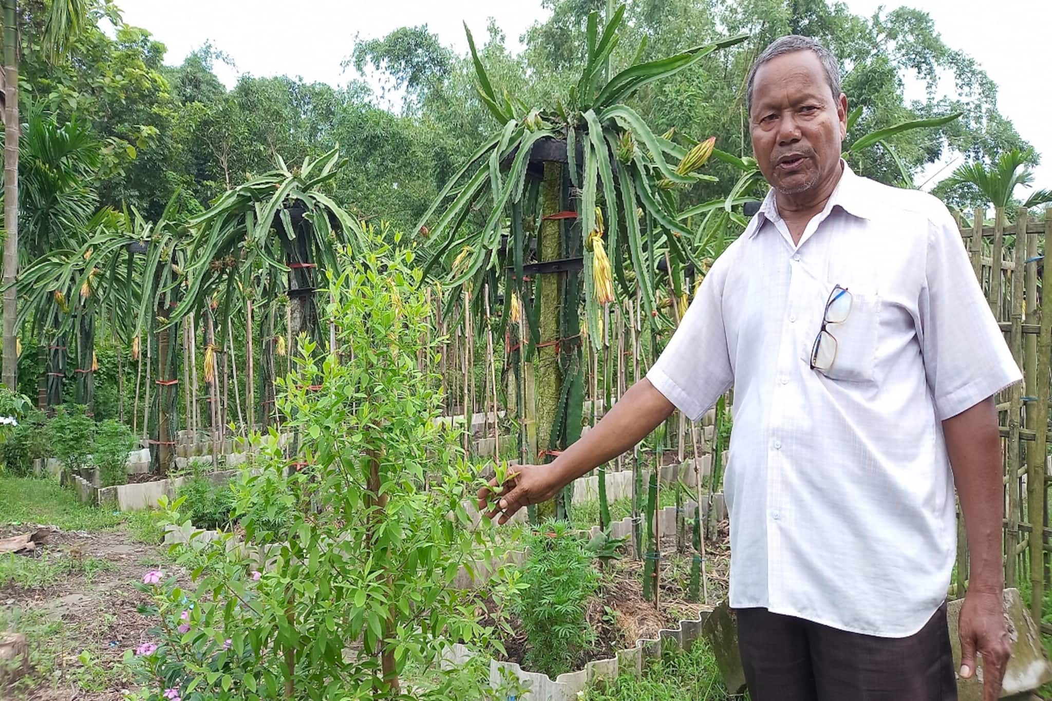 Agriculture News: লাখ টাকা দাম, ‘এই’ গাছ নিয়ে হয়েছে সিনেমা! চাষের পদ্ধতি জেনে নিন