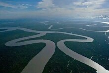 ক্রমশ বাংলাদেশের দিকে সরছে সুন্দরবন