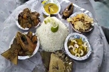 ইলিশ