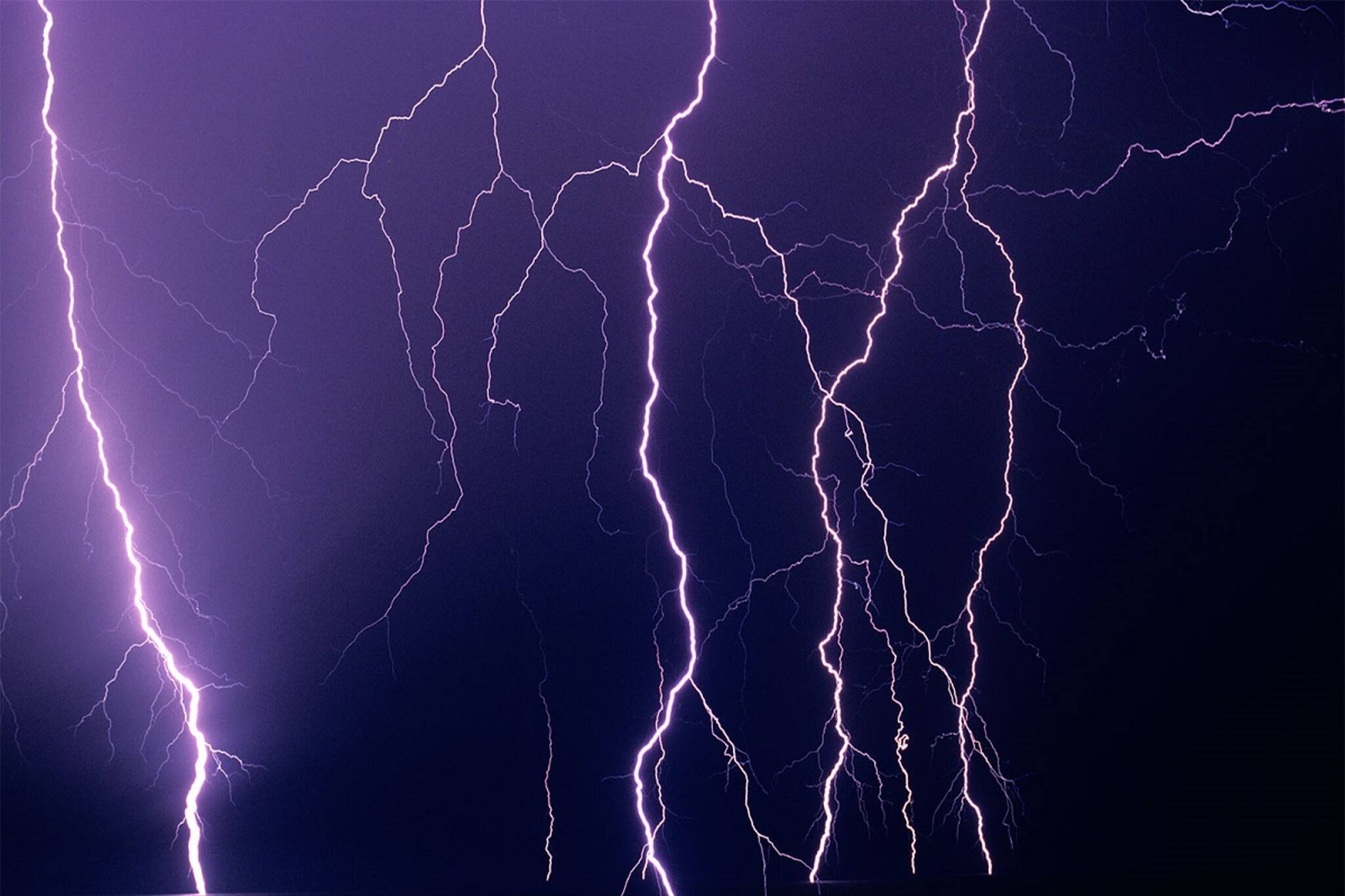 Lightning Arrester: বাড়িতে বাজ পড়বে না! বজ্রপাত থেকে বাঁচতে ঘরে রাখুন এই জিনিস! জানুন