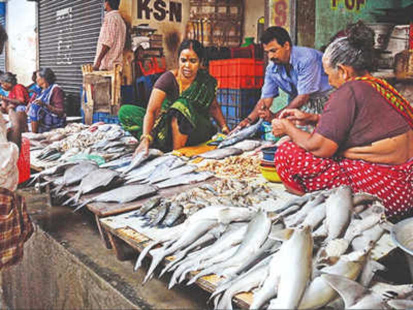 কাতলা মাছের প্রতি কেজিতে দাম রয়েছে ৩০০- ৩৫০ টাকা। তেলাপিয়ার কেজি হিসেবে দাম রয়েছে ২২০ টাকা। ট্যাংরা মাছের প্রতি কেজির দাম রয়েছে ৪০০ টাকা।