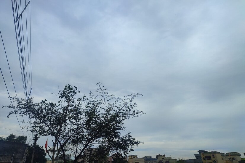 পূর্বাভাস অনুযায়ী দক্ষিণবঙ্গে বৃষ্টিপাত আসতে দেরি হয়েছে প্রায় 8 থেকে 9 দিন। দক্ষিণবঙ্গে গত বছরের সর্বোচ্চ বৃষ্টিপাত হয় বাঁকুড়া জেলায়। বর্ষা আসতে দেরি হচ্ছে দেখে অনেকেই আশঙ্কা করেছিলেন বৃষ্টিপাত কম হবে
