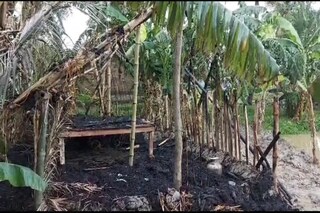 বাসন্তীতে হিংসা