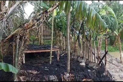 বাসন্তীতে হিংসা
