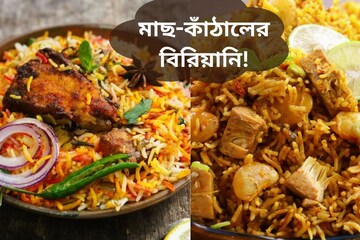 মাছ-কাঁঠালের বিরিয়ানিতে জমুক রবিবারের ভোজ! শিখে নিন রেসিপি মাছ-কাঁঠালের বিরিয়ানিতে জমুক রবিবারের ভোজ! শিখে নিন রেসিপি