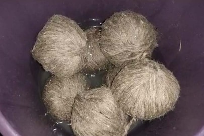 প্রতীকী ছবি