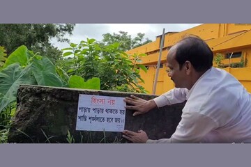 নির্বাচনের