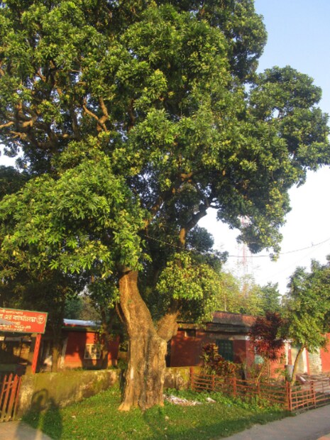 আমরা জানি যেকোনো চাকরির পরীক্ষাতে জেনারেল নলেজ হলো অত্যন্ত গুরুত্বপূর্ণ একটি বিষয়। বিশেষ করে রাজ্যের যেকোনো চাকরির পরীক্ষাতে জিকে প্রায়শই এসে থাকে।