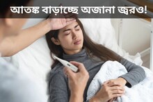 ডেঙ্গির সঙ্গে আতঙ্ক বাড়াচ্ছে অজানা জ্বর‌ও! মৃত‍্যু ‌এক রোগীর, লক্ষণ কী?