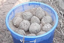 ১,২ টো নয়! এবার বীরভূমে উদ্ধার ৯০টি বোমা