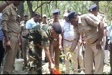 পালিত হচ্ছে বনমহোৎসব, কী পদক্ষেপ বন দফতরের?
