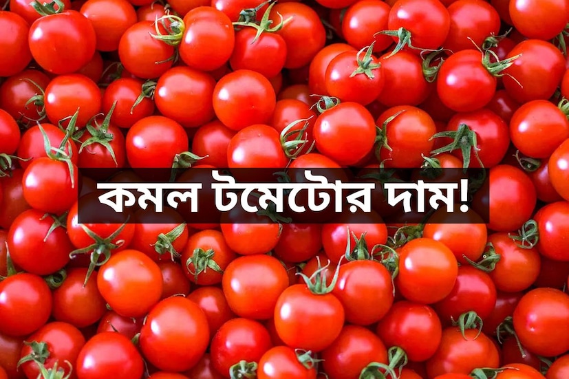 কোথাও ১৫০ তো কোথাও ২০০, এমনকী কোথাও ২৫০৷ গোটা দেশ জুড়ে আকাশছোঁয়া দামে বিক্রি হয়েছে টমোটো৷ মধ্যবিত্তের সাধ্যের বাইরে চলে গিয়েছিল রান্নাঘরের অতি প্রয়োজনীয় এই সবজি৷ তবে এবার স্বস্তি মিলবে৷ কারণ সরকারি হস্তক্ষেপে কিছুটা কমল টমেটোর দাম৷ দিল্লি এনসিআর, পটনা-সহ বেশ কিছু শহরে কেন্দ্র সরকরের হস্তক্ষেপে খানিকটা কমল টমোটোর দাম৷ ১৫০-২০০ থেকে কমিয়ে প্রতি কিলেগ্রাম ৯০ থেকে ৮০ টাকায় বিক্রি করা হবে টমোটো৷