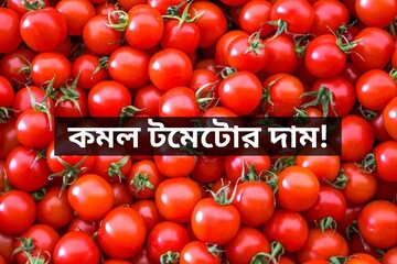 সরকারি হস্তক্ষেপে কিছুটা স্বস্তি, দেশের কোথায় কোথায় কমল টমেটোর দাম? সরকারি হস্তক্ষেপে কিছুটা স্বস্তি, দেশের কোথায় কোথায় কমল টমেটোর দাম?