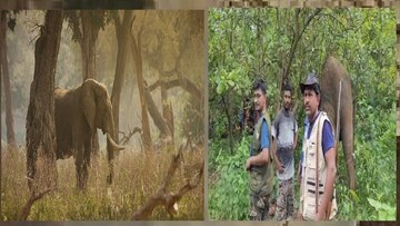 ঘুমপাড়ানি