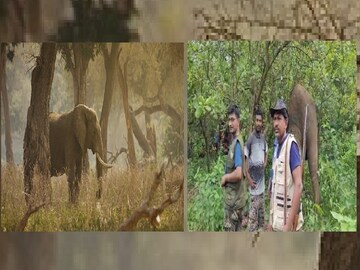 ঘুমপাড়ানি