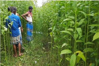 প্রতীকী ছবি