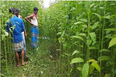 প্রতীকী ছবি
