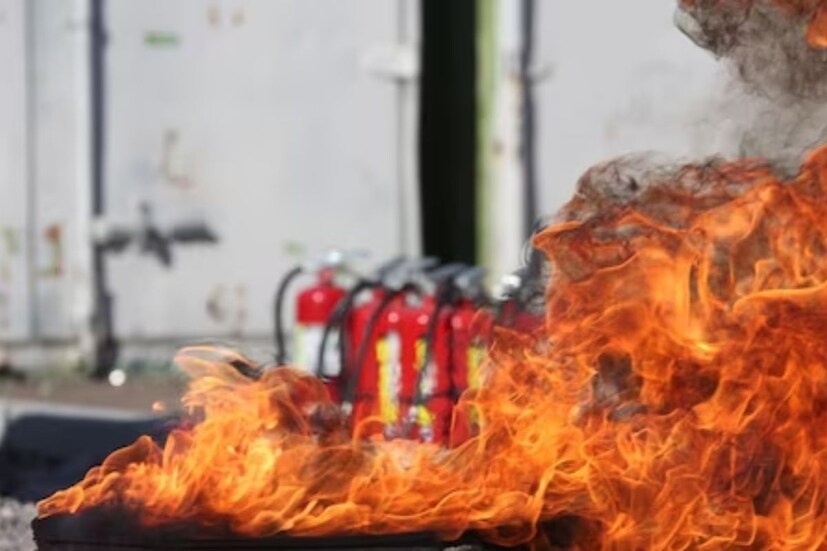 এটি রাখার জন্য কোনও ধরনের রক্ষণাবেক্ষণের প্রয়োজন নেই। এটি কোনও রক্ষণাবেক্ষণ ছাড়াই ৫ বছর ধরে রাখা যেতে পারে। একই সঙ্গে এটি পরিচালনা করা এত সহজ যে, শিশু এবং বৃদ্ধরাও এটি পরিচালনা করতে পারেন।