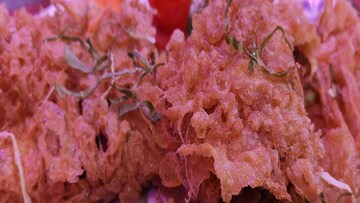 বিখ্যাত