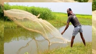 পাটলিখানপুর গ্রামের একটি পুকুর থেকে মাছ ধরার সময় উদ্ধার হল ব্যালট পেপার- Photo- Representative পাটলিখানপুর গ্রামের একটি পুকুর থেকে মাছ ধরার সময় উদ্ধার হল ব্যালট পেপার- Photo- Representative