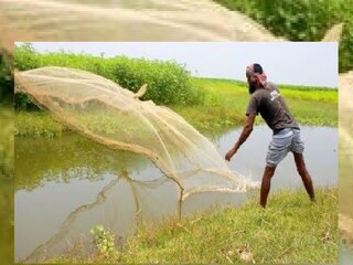 পাটলিখানপুর গ্রামের একটি পুকুর থেকে মাছ ধরার সময় উদ্ধার হল ব‍্যালট পেপার- Photo- Representative 