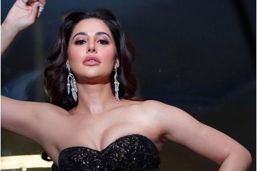 নার্গিসের ছকভাঙা অভিনয় করে সকলের মন জিতে নিলেও বি-টাউনে নিজের জায়গা করতে অতটাও সফল হননি নার্গিস৷ ইন্ডাস্ট্রিতে একাধিক সমস্যার মুখে পড়তে হয়েছিল অভিনেত্রীকে৷